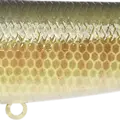 BE Gill