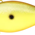 Caramel Apple