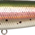Laser Rainbow Trout