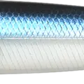 Ghost Blue Shad