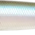 Ghost Minnow