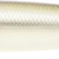 Striped Shad