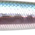 MS MJ Herring - Aurora Wakasagi