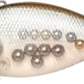 Ghost Minnow