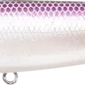 Lavender Shad