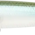 Silver Cheek Ghost Minnow
