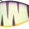 Mat Tiger