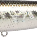BP Golden Shiner
