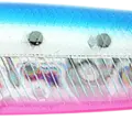 Blue Pink Sardine RT (Red Tail)