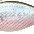 MS MJ Herring - Aurora Wakasagi