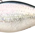 MS American Shad