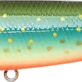 Brook Trout - Kawa Masu