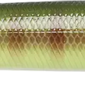 BE Gill