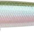 Pearl Ghost Minnow