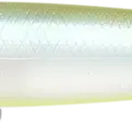 Golden Ghost Minnow