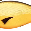 Cream Yellow Perch