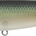 NC Bora