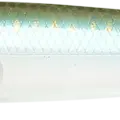 Live Ghost Minnow