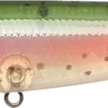 CF Ghost Rainbow Trout