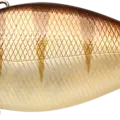 Walleye
