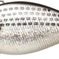 Spotted Shad - Konoshiro