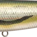 Aurora Dace Shad - Aurora Ugui
