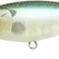 Ghost Minnow