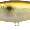 Golden Shiner