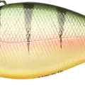 Northern Yellow Perch