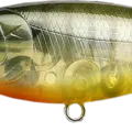 Sun Fish