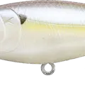 Chartreuse Shad