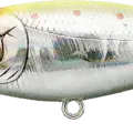 Nishiki