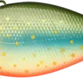 Brook Trout - Kawa Masu