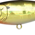 Aurora Gold