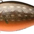 Red Musky