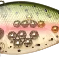 Ghost Rainbow Trout