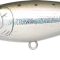 Laser Rainbow Trout