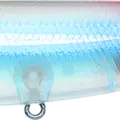 Ghost Neon Tetra - Brazilian Bait Fish