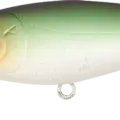 Mat Pumpkin