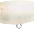 NC Shell White
