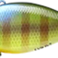 BE Gill