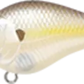 Chartreuse Shad