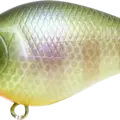 BE Gill