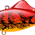 TO Craw