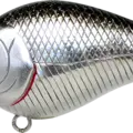 BP Golden Shiner