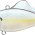Chartreuse Shad