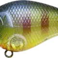 CF Flake Flake BE Gill