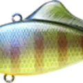 BE Gill