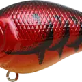 All Spring Craw