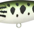Large Mouth Bass